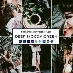 Deep Moody Green Presets Collection