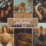 Autumn Presets Collection